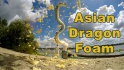 http://www.joyblend.com/images/articles/small/asian-dragon-foam.jpg